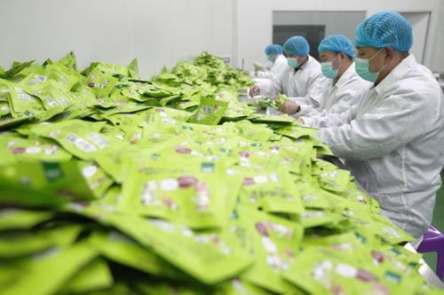 黑龙江桦南县 企业忙生产